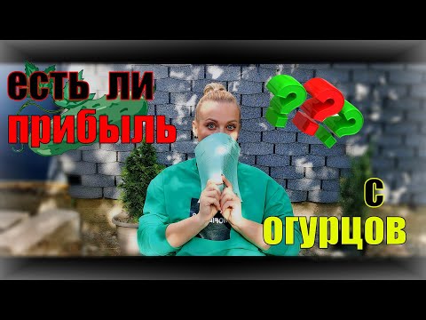 Видео: Сколько мы заработали на огурцах за месяц ?! Два оборота, ошибки и прибыль.