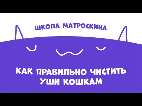 Видео: Школа Матроскина. Как правильно чистить уши кошкам?