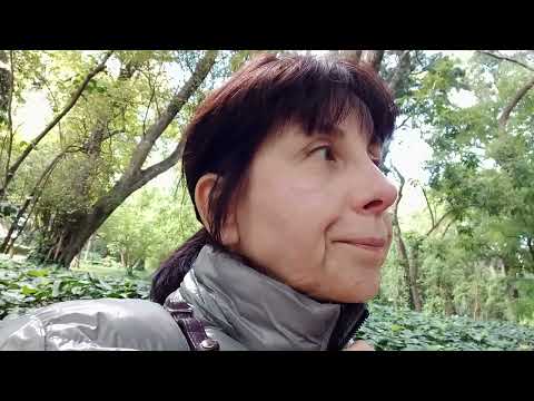 Видео: Подготовка к Новогодним Праздникам в Аргентине#argentina #youtube #buenosaires #añonuevo #navidad