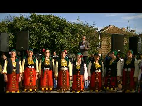 Видео: Събор в село Устрем
