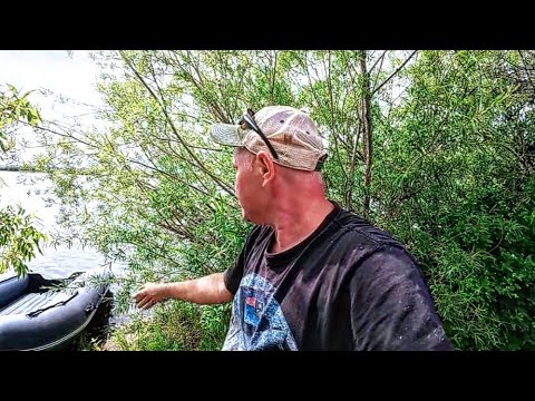 Видео: Кот, костёр и рыбалка: что пошло не так в нашем приключении? 🎣🔥🐱