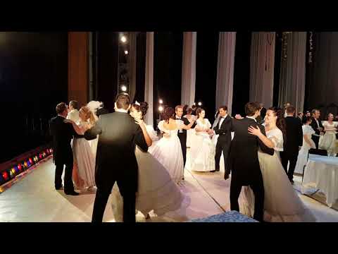 Видео: Летучая мышь Галоп Адели и Фалька