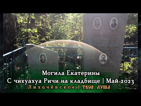 Видео: Могила Екатерины | Чихуахуа Ричи на кладбище | Май 2023 | Лихачёвское ✞ Твоя Душа ✞