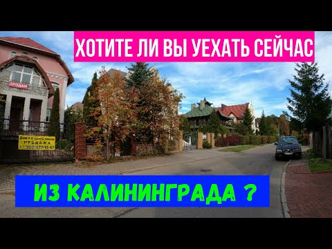 Видео: Хотите ли вы уехать сейчас из Калининграда?