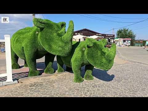 Видео: Соленые озера. Соль-Илецк. Оренбургская область. 2025 год