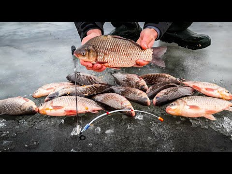 Видео: И ПОЧЕМУ Я НЕ ЛОВИЛ ТАК РАНЬШЕ. Ловля карася зимой. Карась зимой