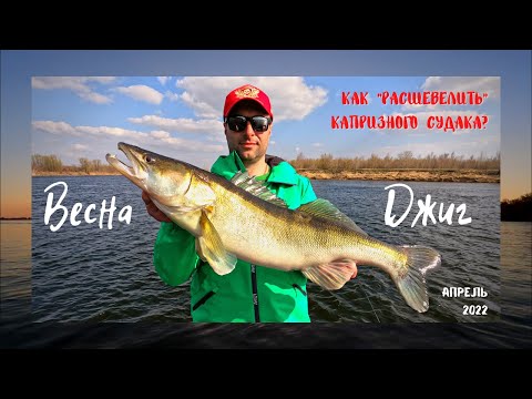 Видео: ВЕСНА! ДЖИГ! В ПОГОНЕ за ТРОФЕЙНЫМ СУДАКОМ на Нижней Волге в апреле.