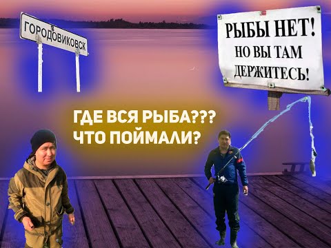 Видео: Весенняя рыбалка в Башанте!