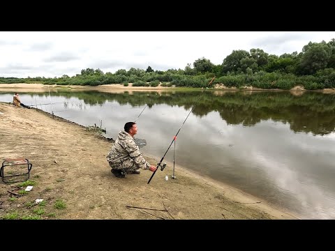 Видео: ТАКОГО НЕ ОЖИДАЛ, КЛЮНУЛ ТРОФЕЙНЫЙ СУДАК КОГДА ВЫВАЖИВАЛ ПЛОТВИЧКУ. РЫБАЛКА 2024. РЫБАЛКА НА ФИДЕР.