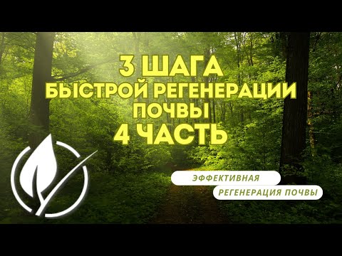 Видео: 🍇3 Шага к быстрой регенерации почвы Часть 4: Познакомьтесь с профессионалами!