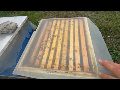 Видео: Єдиний дієвий засіб від кліща варроа!!! #бджильництво #ізоляція