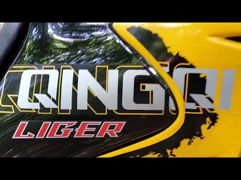 Видео: Мысли про Скайбайк Лигер 1 (Чинчи Лигер 1, Matador 200) Thoughts on  LIGER I (QINGQI Matador 200)