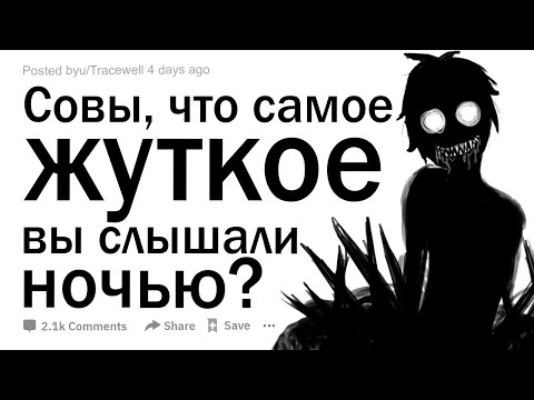 Видео: Совы, что самое жуткое вы слышали?
