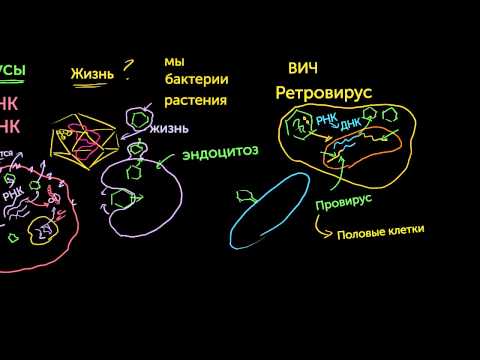 Видео: Вирусы