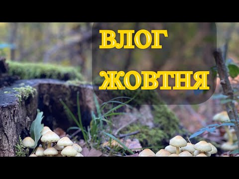 Видео: Влог Жовтня