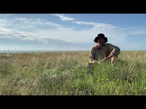 Видео: Содержание канареек, клетка, лампа,  одиночное содержание, какую породу лучше выбрать.