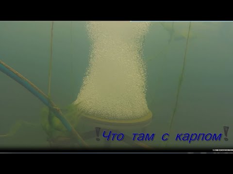 Видео: Что там с карпом . Аэратор.