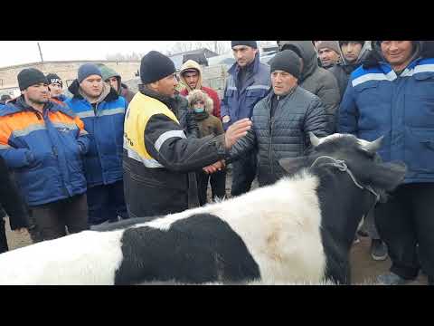 Видео: #мол #бозори #зафаробод #таджикистан #2025 #baki #астана #ош #ташкент #душанбе #дружба #любовь #топ