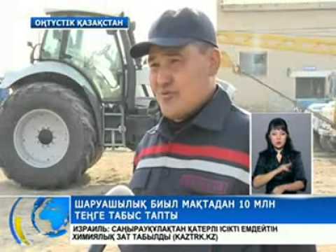 Видео: Шаруашылық мақтадан 10 миллион теңге табыс тапты