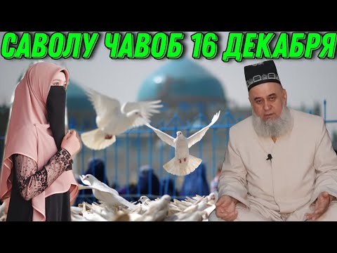 Видео: ХОЧИ МИРЗО САВОЛУ  ЧАВОБ 16 ДЕКАБРЯ 2021