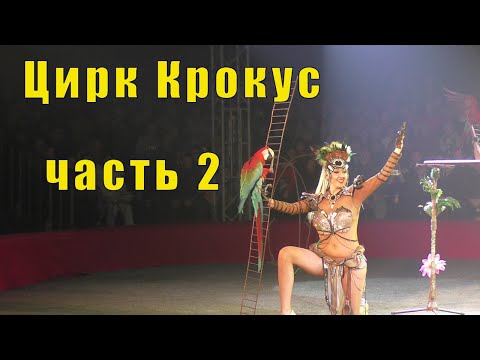 Видео: ЦИРК КРОКУС МУРМАНСК - ПРОДОЛЖЕНИЕ /01 ноября 2025