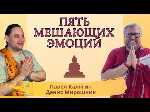 Видео: Пять мешающих эмоций. Павел Калягин и Денис Мирошник