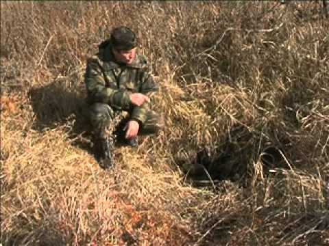 Видео: Едем по Приморью - Кроуновка.wmv