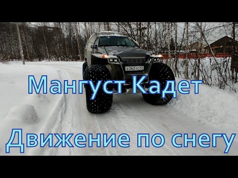 Видео: Мангуст  Кадет - движение по снегу.