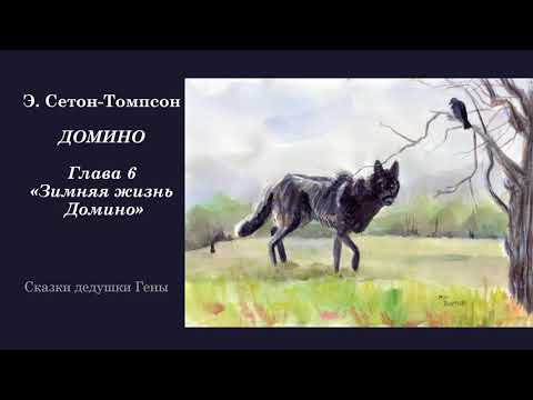 Видео: ДОМИНО. История одного черно-бурого лиса. Глава 6. Зимняя жизнь Домино.