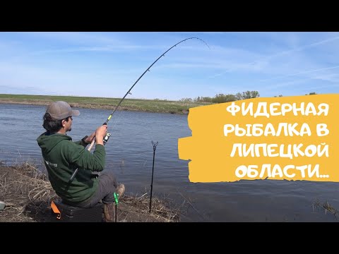 Видео: Рыбалка на фидер весной. Река Дон. Липецкая область.