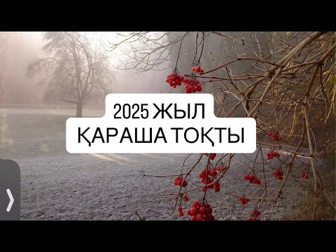 Видео: 2025 ЖЫЛ ҚАРАША айы ТОҚТЫ   #овен 