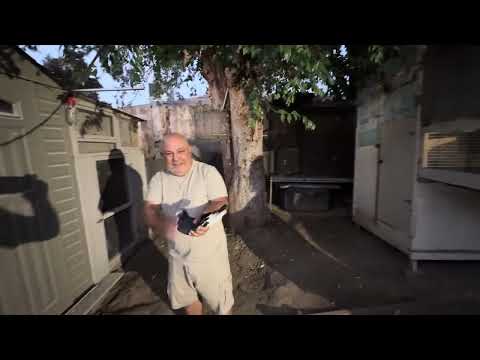 Видео: Эти голуби меня удивили .￼