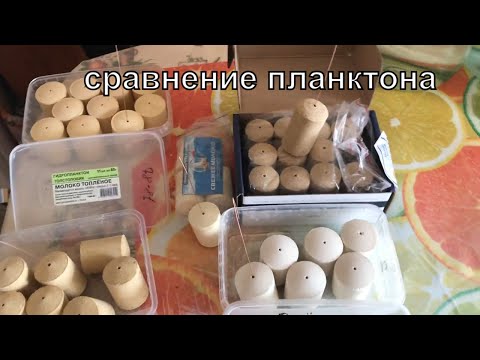 Видео: Сравнение таблеток технопланктона. Ищем новых лидеров