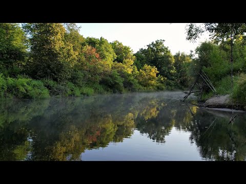 Видео: РЫБАЛКА НА ЗАКИДУШКИ крокодил! Рыбачу и ночую один на дикой реке! Ночью пришёл усатый!