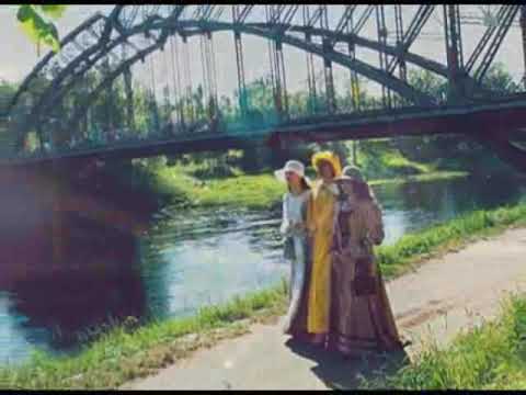 Видео: Боровичи   Любимый город