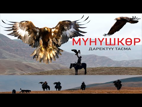 Видео: БҮРКҮТТҮН 2-ЖАШООСУ 40 ЖАШТАН КИЙИН БАШТАЛАТ//МҮНҮШКӨР