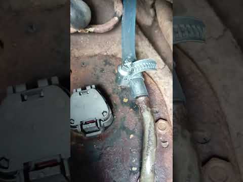 Видео: 1 ноября 2024 г.