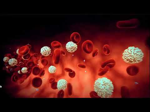 Видео: 7-р анги Биологи