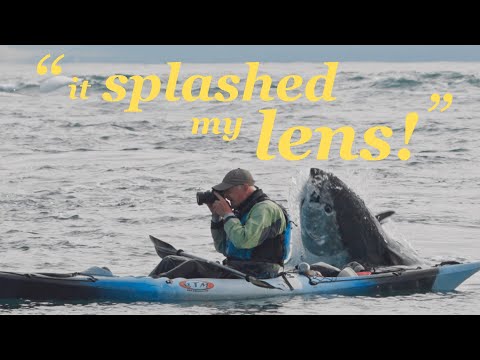 Видео: Каякер в окружении гигантских прыгающих тунцов — грандиозная встреча с дикой природой!