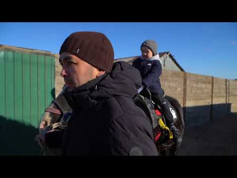 Видео: "КӘСІП ТҮБІ - НӘСІП" ХАБАРЫ