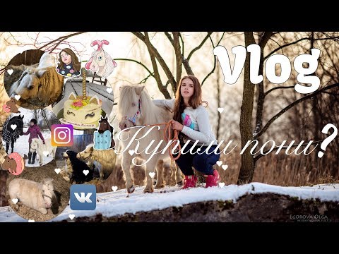 Видео: Vlog! Все таки купили пони?