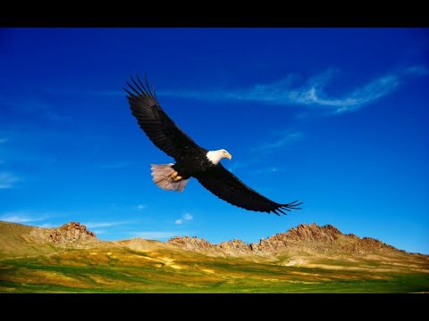 Видео: Как орёл я хотел бы подняться. _ гр. Голгофа. Альбом Вперед пилигрим молодой_