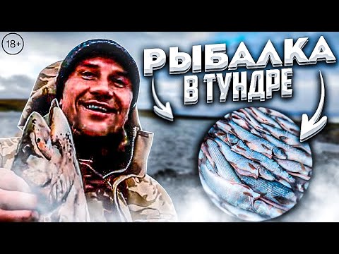 Видео: ЧУМОВАЯ РЫБАЛКА в ТУНДРЕ. Здесь упал Метеорит.
