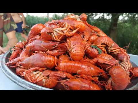 Видео: Открытие охоты на утку 2017, готовим отбивные с утки, шурпа с дичи, раки.