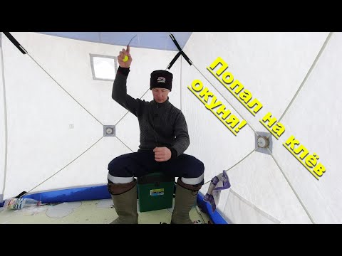 Видео: Попал на клёв окуня. Ловля окуня зимой