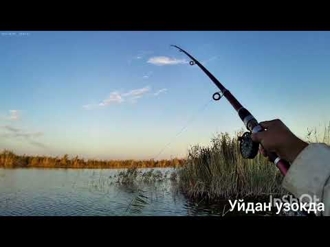 Видео: 23 сентября 2025 г.