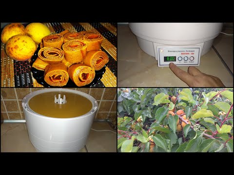 Видео: Приехала Помощница\ Пастила из Абрикос и молока\Сушилка Волтера-500 Комфорт