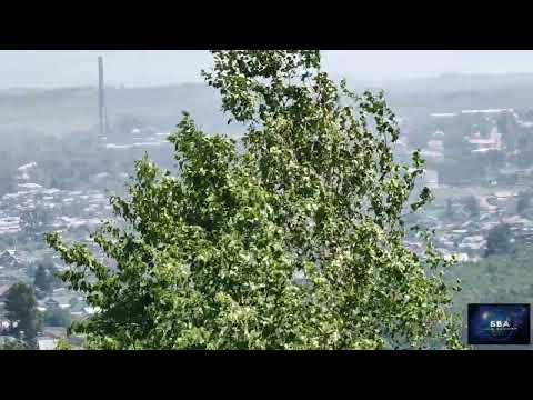 Видео: Посёлок Первомайский Забайкальского края