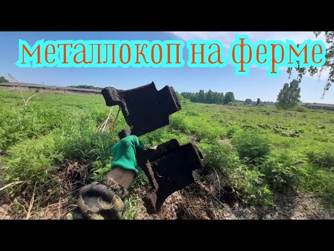 Видео: Копаю металлолом на ферме и на полях