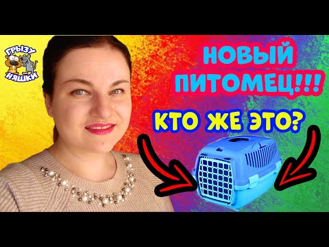 Видео: НОВЫЙ ПИТОМЕЦ / КАК НАЗВАЛИ? / ГРЫЗУНЯШКИ